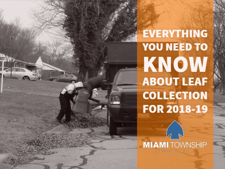 Leaf Collection 2018-19 750x562