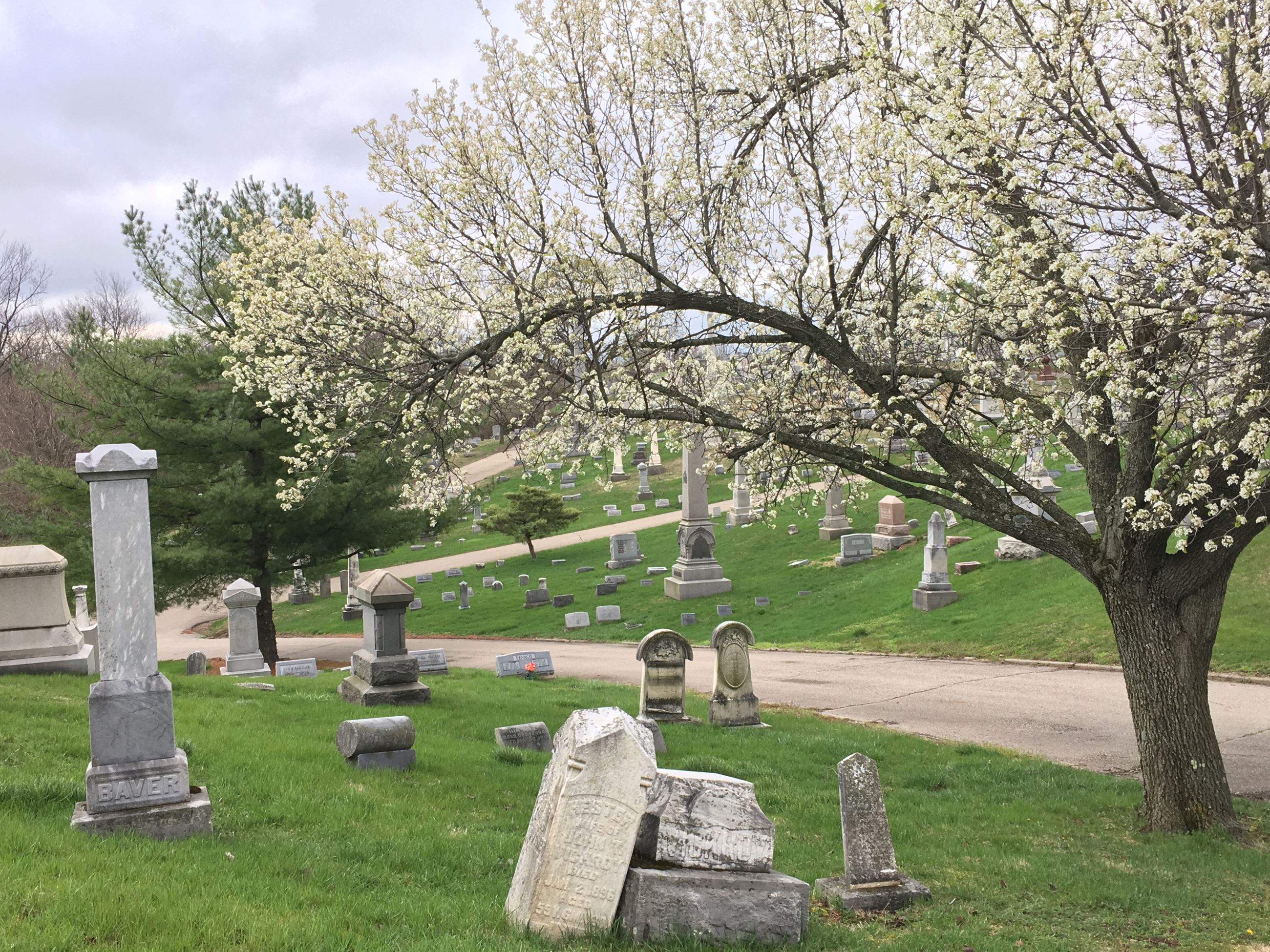 Hillgrove Cemetery April 19 2018 (8)