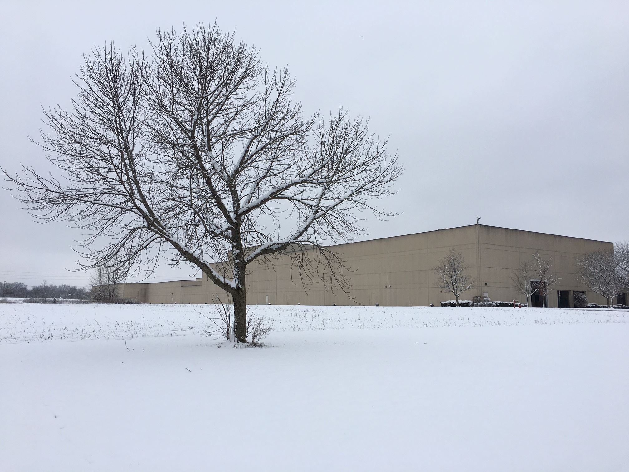 Cornerstone Washington Church 121619