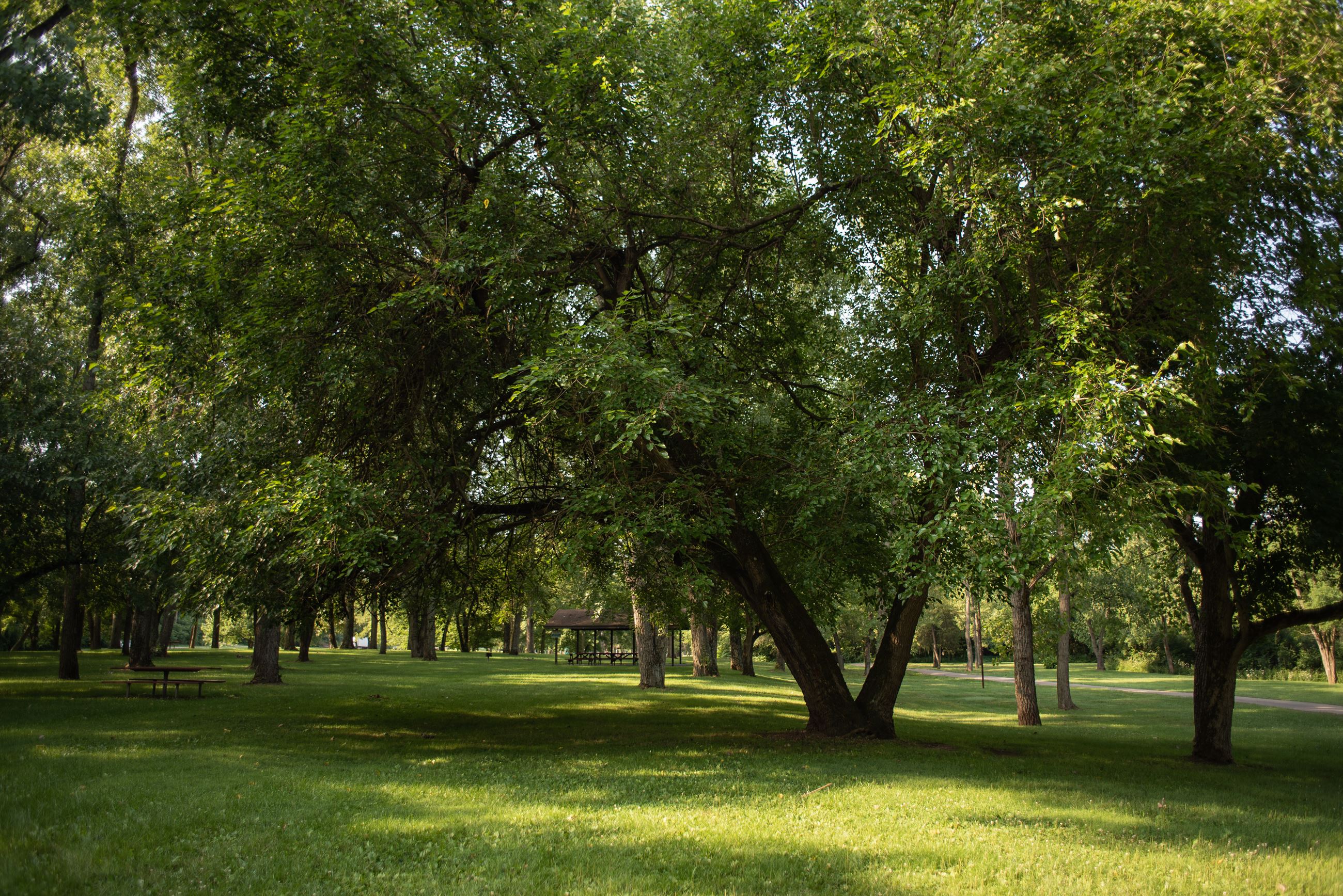 Crains Run Shelter 2
