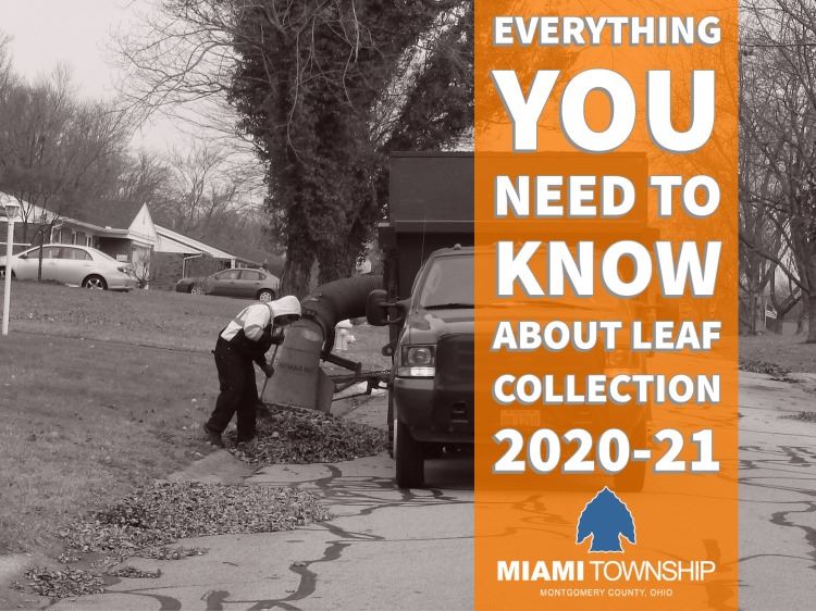 Leaf Collection 2020-21