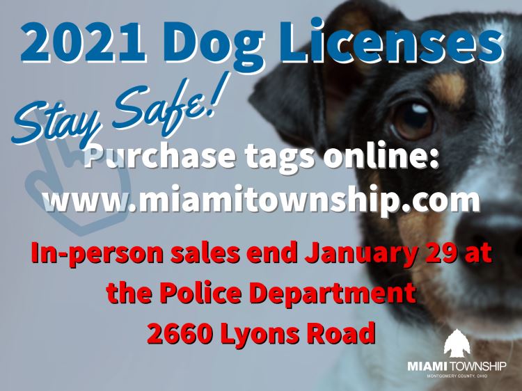 Dog licenses 2021 Final week
