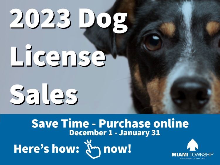 Dog licenses 2023-1