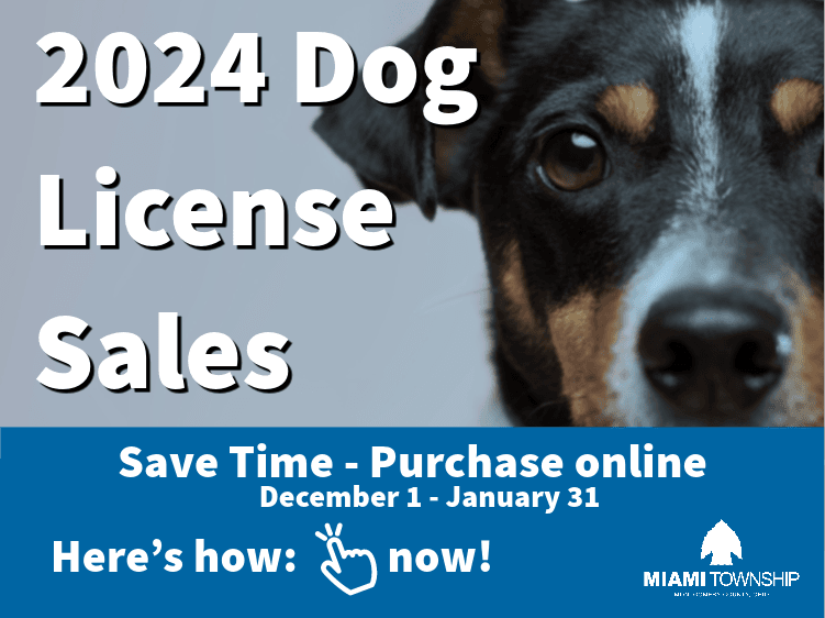 Dog licenses 2024