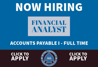 Finance Analyst 400x275